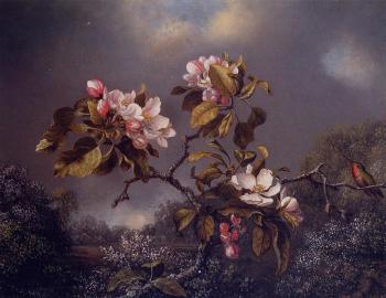 馬丁 約翰遜 赫德 Apple Blossoms and Hummingbird 馬丁 約翰遜 赫德 Apple Blossoms and Hummingbird
